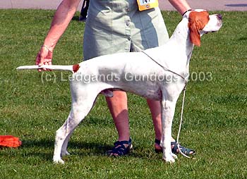 4th Graduate Dog